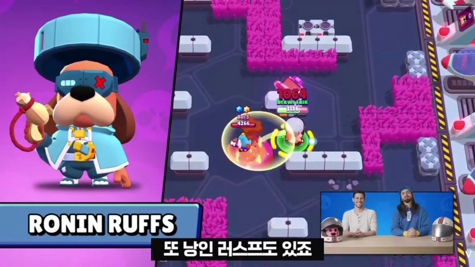 RoninRuffs