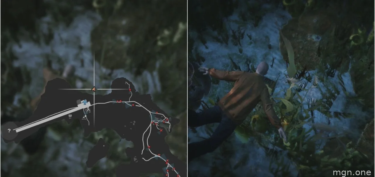 Image showing the GTA Online Cayo Perico Treasure Chest underwater by coral.