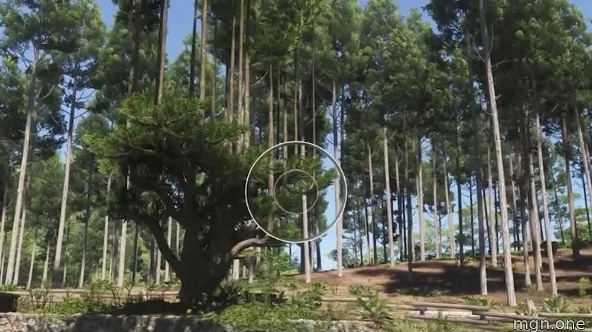 Forza-Horizon-6-Forza-Horizon-6-12