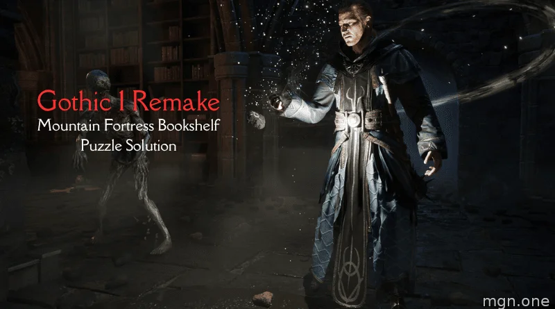 Golovolomka-s-knizhnymi-polkami-Gothic-1-Remake