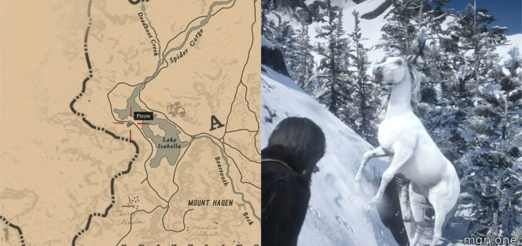 The White Arabian map location and horse in Red Dead Redemption 2. 