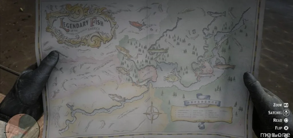 The Legendary Fish of the Southern United States of America map given in Red Dead Redemption 2. 